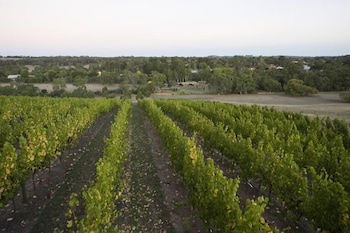 Barristers Block Vigneron Villa - Hervey Bay Accommodation 3