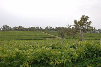 Barristers Block Vigneron Villa - Hervey Bay Accommodation 6