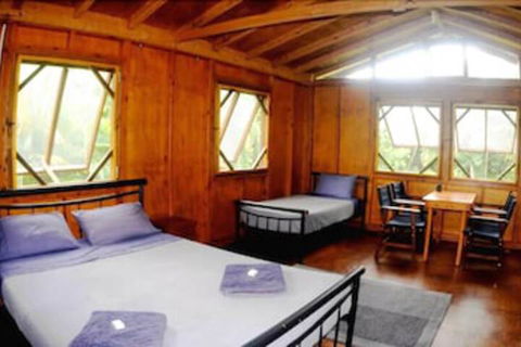 Daintree Rainforest Bungalows - Hervey Bay Accommodation 5