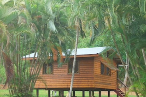 Daintree Rainforest Bungalows - Hervey Bay Accommodation 0