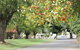 Ross Motel - thumb 5