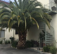 Brunswick Tower Hotel - Tourism Hervey Bay