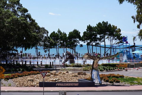 Beachside Motor Inn - Hervey Bay Accommodation 3