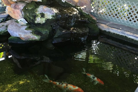 Quality Inn The Willows - Hervey Bay Accommodation 3