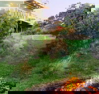 Views Pet Friendly Hotel  Cape Schanck - Hervey Bay Accommodation