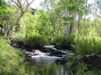 Mt Hart Homestead - Hervey Bay Accommodation 4