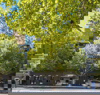 WRAP on Southbank - Tourism Hervey Bay