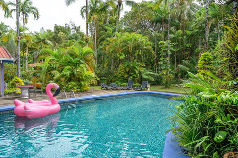 Pink Flamingo Resort - Tourism Hervey Bay 5