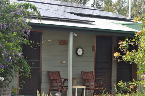 The Fig Tree B & B - Hervey Bay Accommodation 5