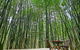 Azabu Boutique Accommodation Byron Bay - thumb 0