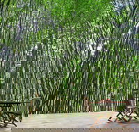 Azabu Boutique Accommodation Byron Bay - Hervey Bay Accommodation