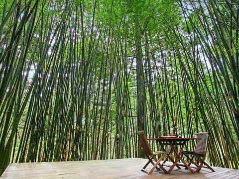 Azabu Boutique Accommodation Byron Bay - Hervey Bay Accommodation 0