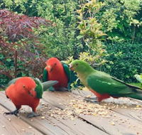 Crimson Villa - Tourism Hervey Bay