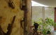Liebelt House - thumb 3