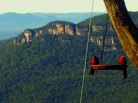 Valley Of The Waters B&B - Hervey Bay Accommodation 3