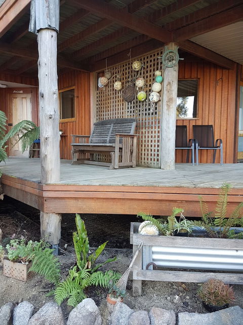 Bed In The Treetops Bed & Breakfast - Hervey Bay Accommodation 1