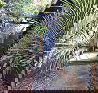Lornebeach Apartments - Hervey Bay Accommodation