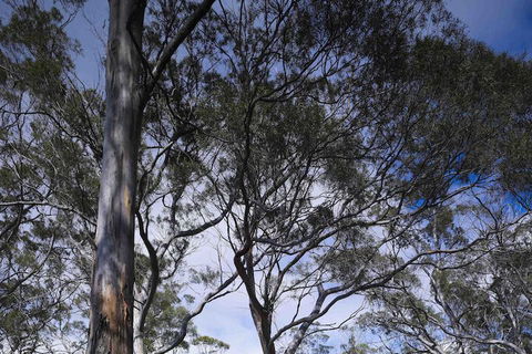 Rocky Hills Retreat - Tourism Hervey Bay 7