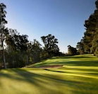 Shepparton Golf Club Motel - Hervey Bay Accommodation
