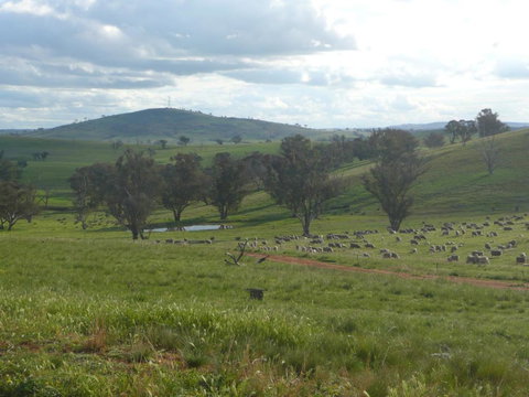 Wantana Cottage Farmstay - Hervey Bay Accommodation 1