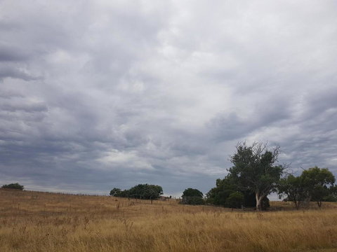 Wantana Cottage Farmstay - Hervey Bay Accommodation 4