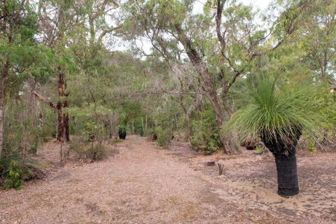 Peppi Pool Delight - Hervey Bay Accommodation 3