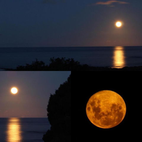 Goat Island Bungalow - Tourism Hervey Bay 1