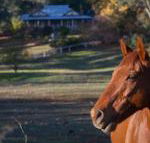 Historic Oak Hill House Estate Truffle Gourmet Festival Region - Tourism Hervey Bay