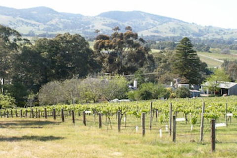 Archery Road Estate - Tourism Hervey Bay 0