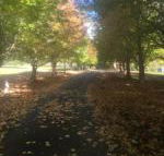 A peaceful cabin in the country - Tourism Hervey Bay