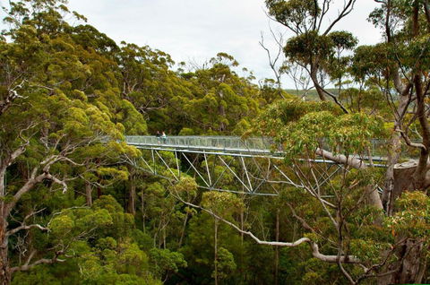 Riverside Retreat Chalets Walpole - Tourism Hervey Bay 5