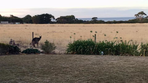 Beeâ€™s Place 3 Bedroom Home On 10 Acres Of Land With Distant Ocean Views - Hervey Bay Accommodation 5