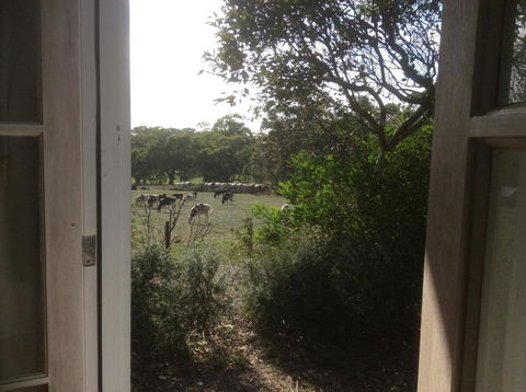 Aashay B & B - Hervey Bay Accommodation 3