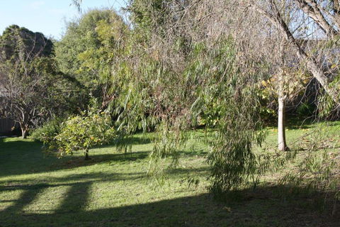 Lytton At Lonnie - Tourism Hervey Bay 2