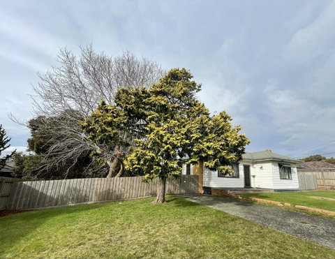 Jettycove Beach House - Hervey Bay Accommodation 1