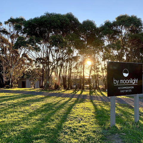 By Moonlight - Tourism Hervey Bay 1