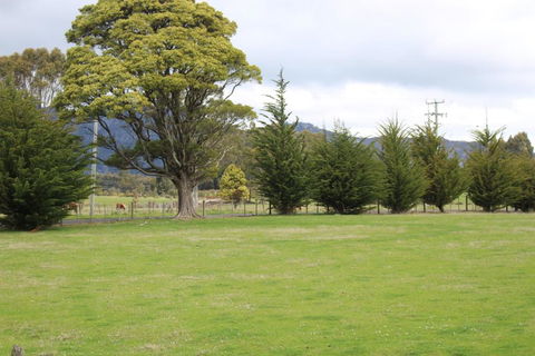 Tiny Cradle At The Good Place - Tourism Hervey Bay 5