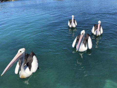 Aquarius 9 Opposite Wallis Lake - Hervey Bay Accommodation 6