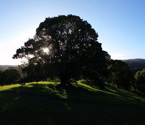 Valleydale Cottage - Hervey Bay Accommodation 1