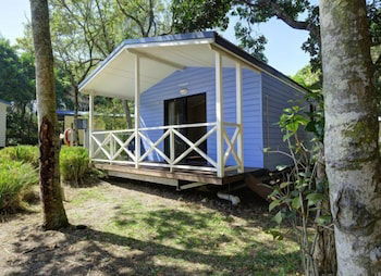 Tiona Palms Holiday Park - Hervey Bay Accommodation 6