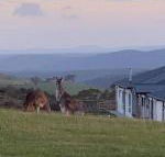 Rooks Edge - Tourism Hervey Bay