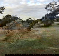 Young Budget Accommodation - Tourism Hervey Bay