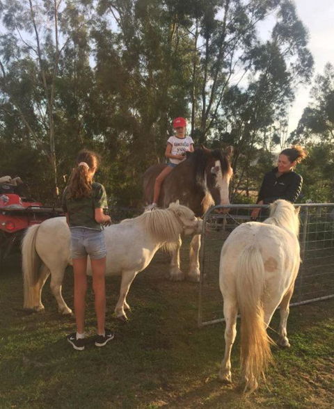 Glamping Gypsy Hobart - Hervey Bay Accommodation 5