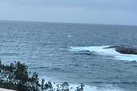 Absolute Oceanfront Cottage - Hervey Bay Accommodation 6