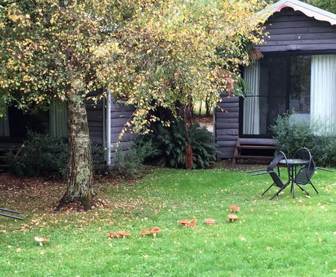 Crossways Country Inn - Tourism Hervey Bay 4