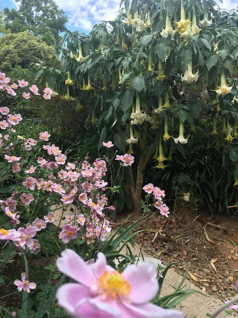 Adelaide Hills B & B Accommodation - Tourism Hervey Bay 6