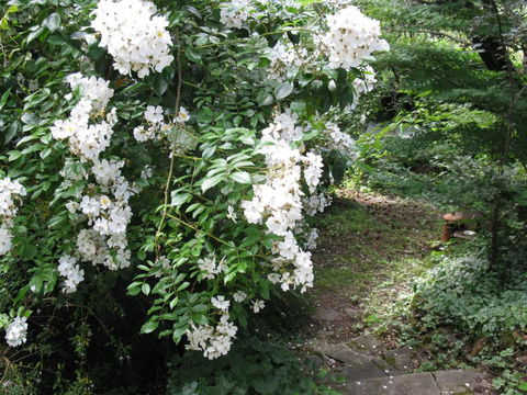 RiverCottage Selfcontained - Tourism Hervey Bay 4