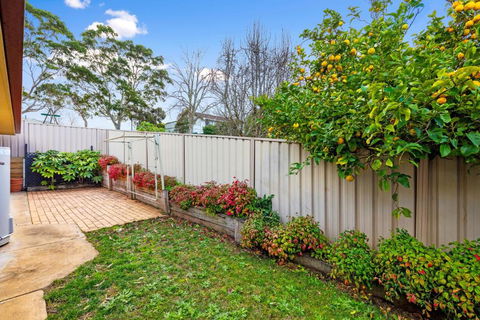Maggies Place - Tourism Hervey Bay 5