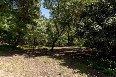 Belair National Park Holiday Park - Hervey Bay Accommodation 2