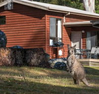 Wonderland Cottages - Tourism Hervey Bay